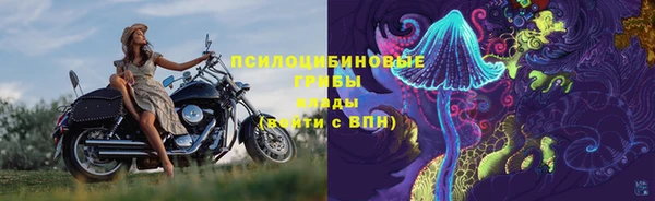 спайс Абаза