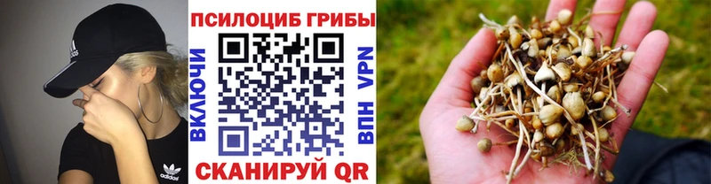 где купить наркотик Ирбит Псилоцибиновые грибы прущие грибы